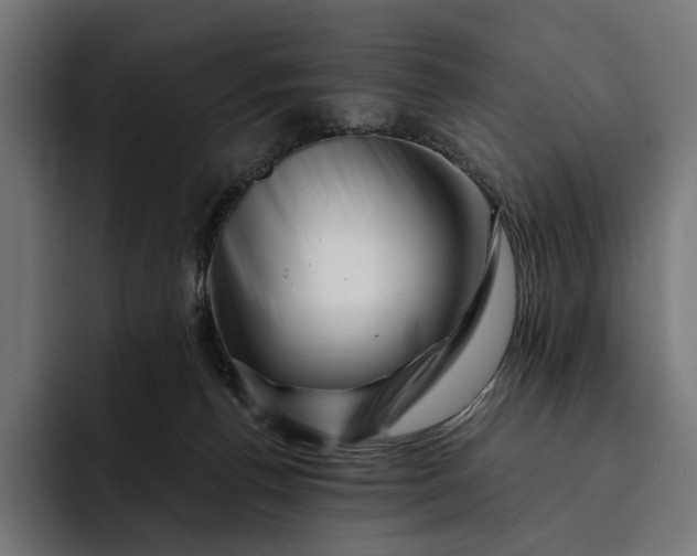 X0000093120176200710101047