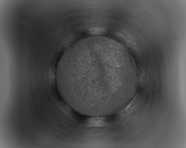 X0000093120179200710101047