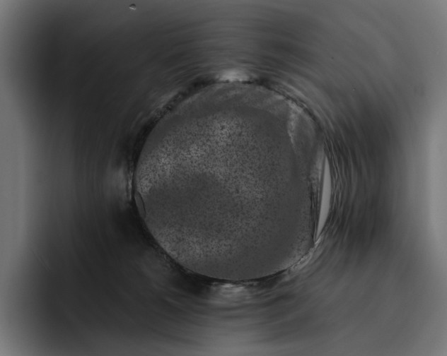 X0000093120180200710101047