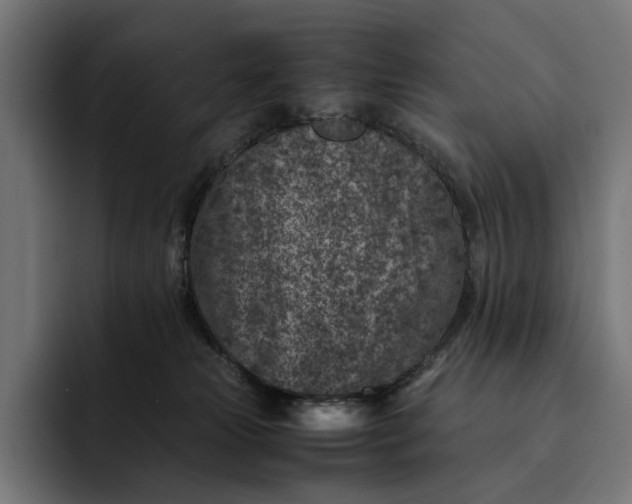 X0000093120181200710101047