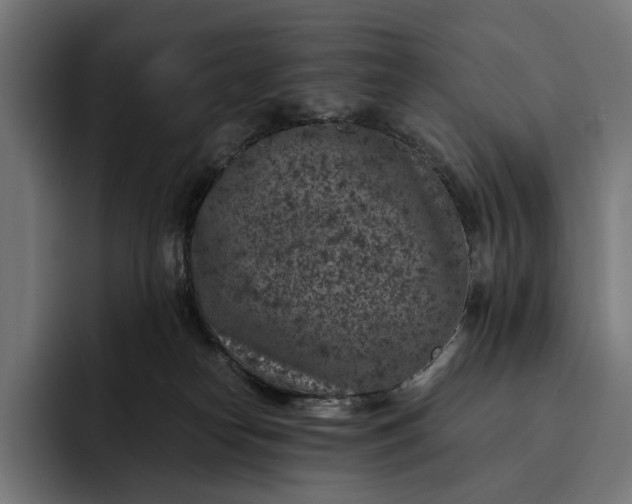 X0000093120182200710101047