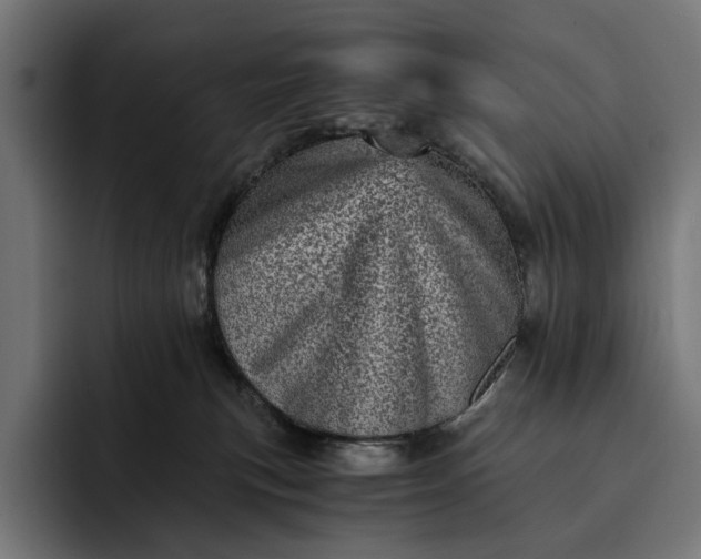 X0000093120183200710101047