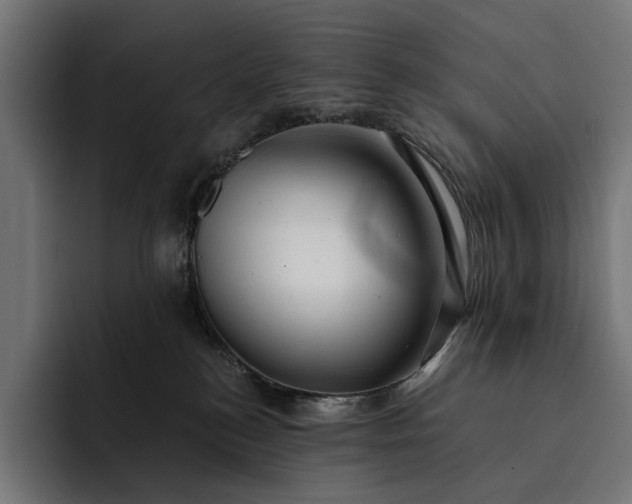 X0000093120184200710101047