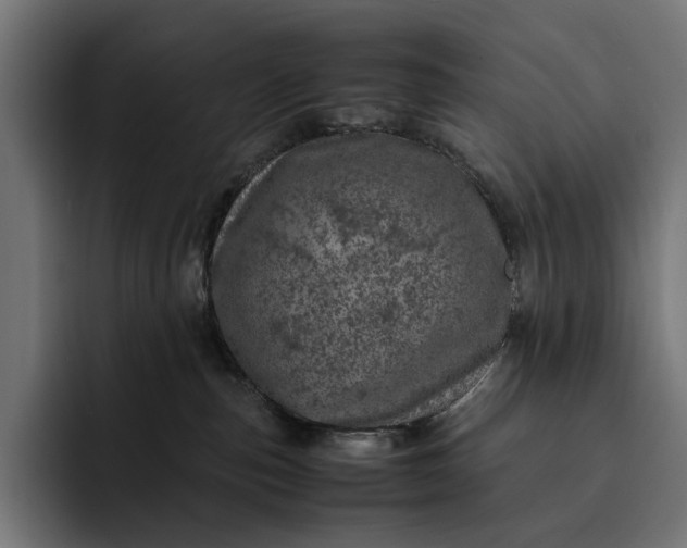 X0000093120187200710101047