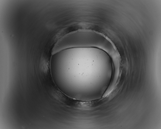 X0000093120188200710101047