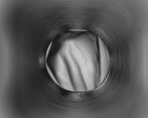 X0000093120190200710101047