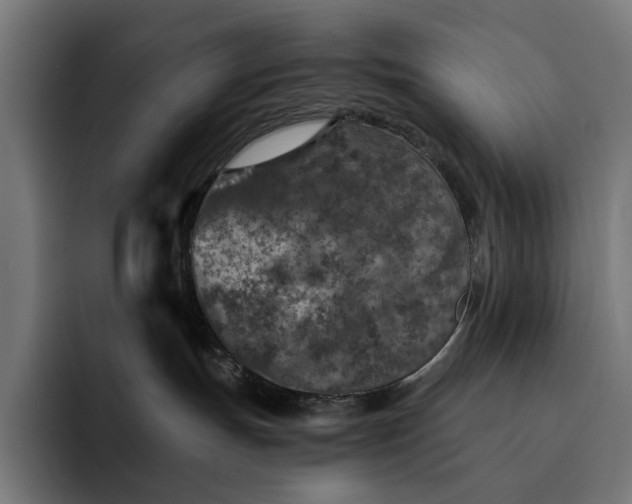 X0000093120191200710101047