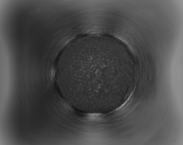 X0000093120192200710101047