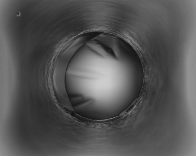 X0000093120193200710101047