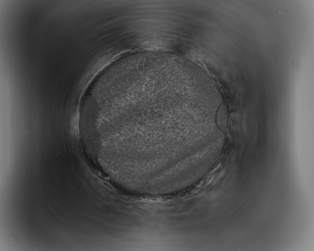 X0000093120194200710101047