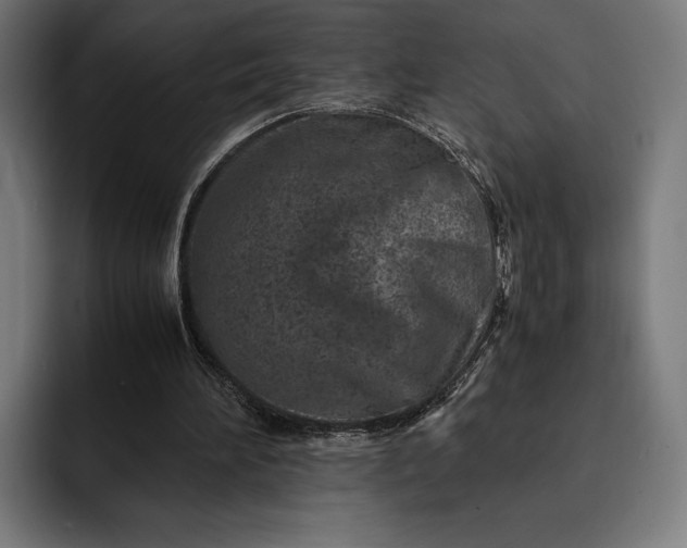 X0000093120196200710101046