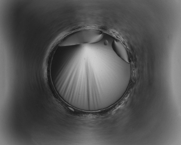 X0000093120197200710101046