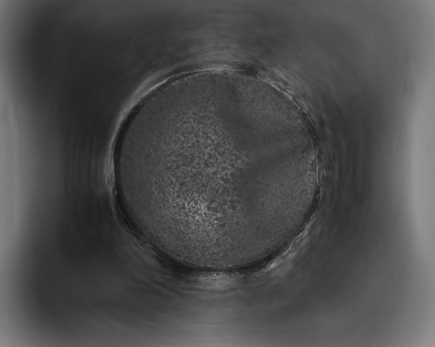 X0000093120198200710101046