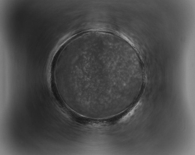 X0000093120199200710101046