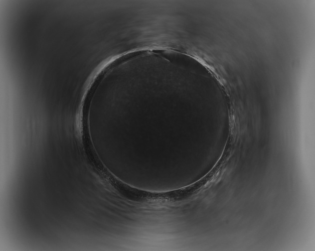 X0000093120200200710101046