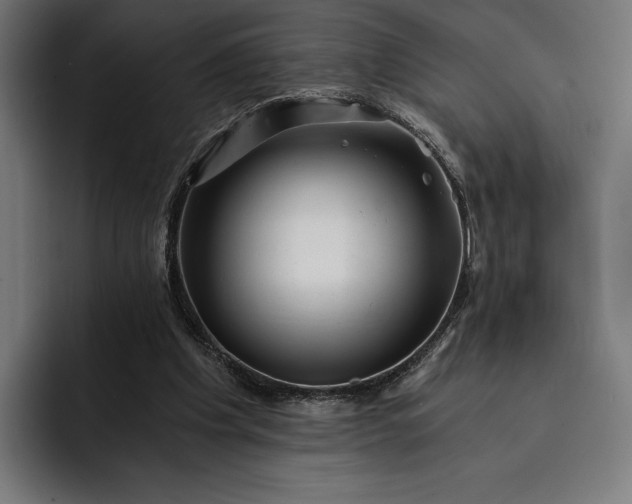 X0000093120201200710101046