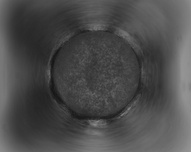 X0000093120202200710101046