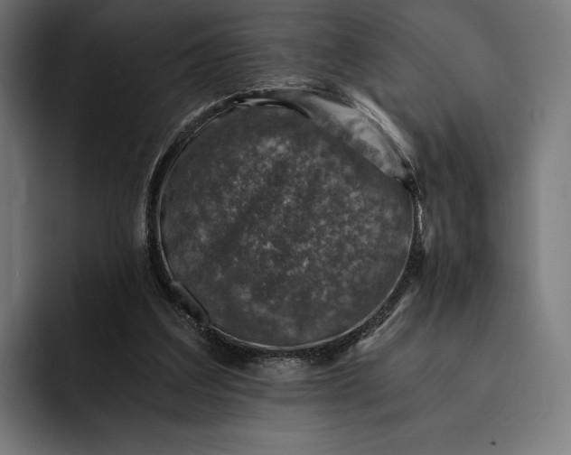 X0000093120203200710101046