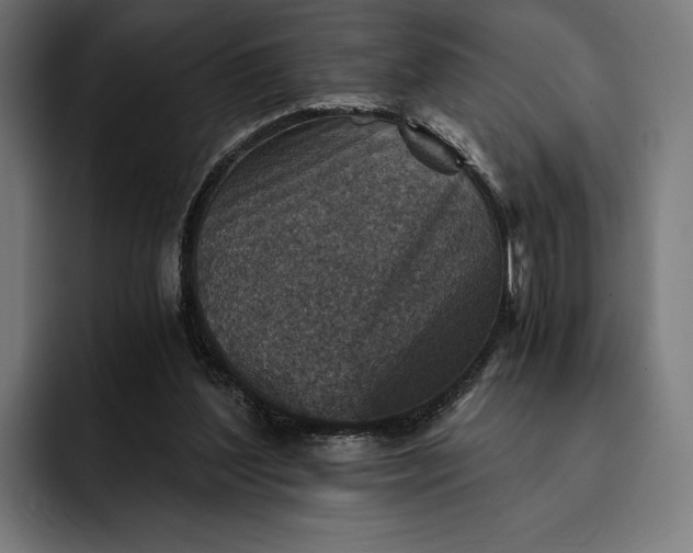 X0000093120204200710101046