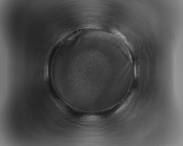 X0000093120205200710101046