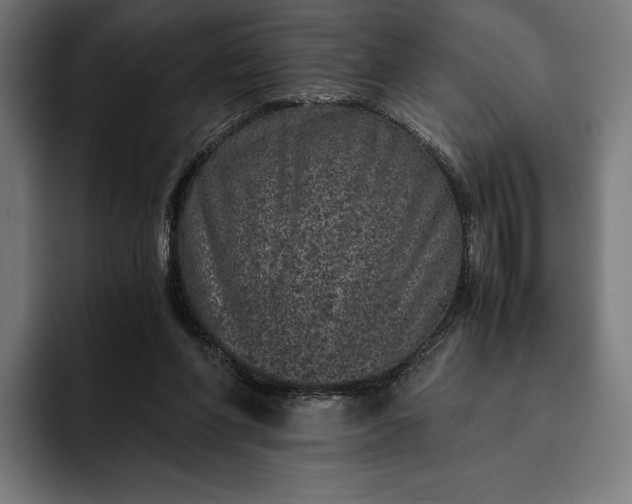 X0000093120206200710101046