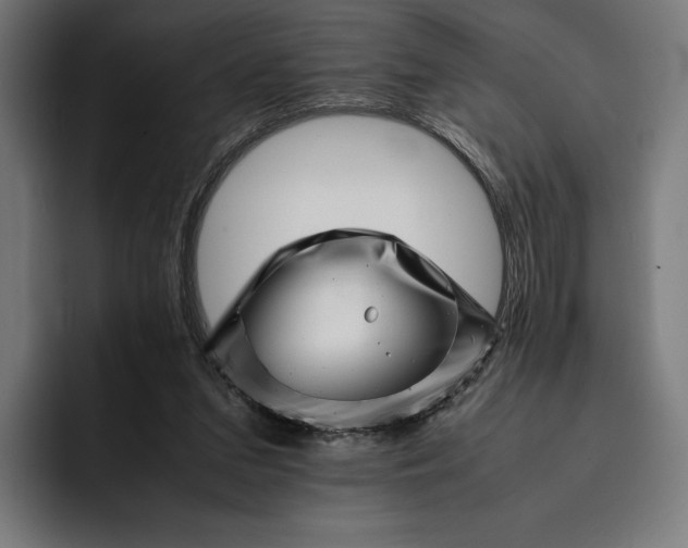 X0000093120207200710101046