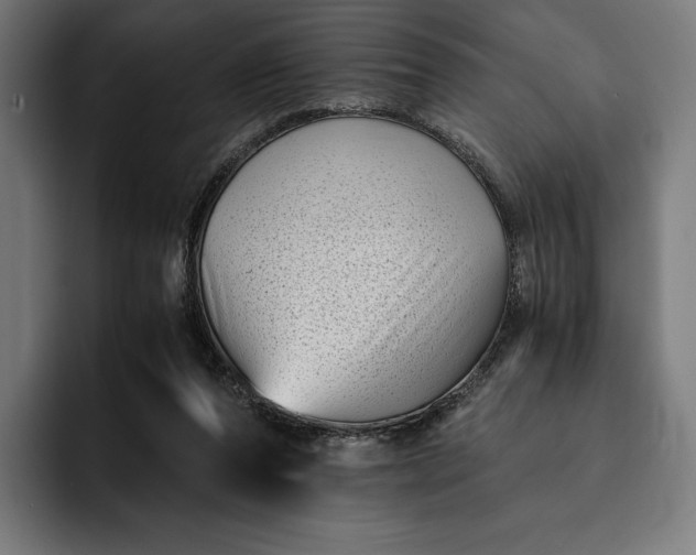 X0000093120208200710101046