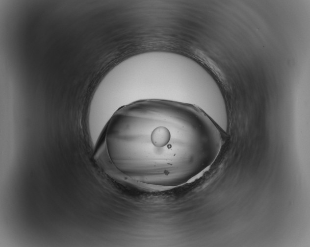 X0000093120209200710101046