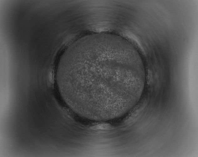 X0000093120210200710101046