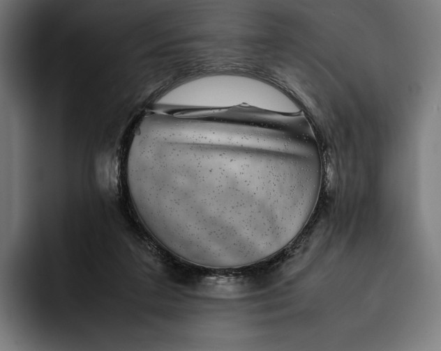 X0000093120211200710101046