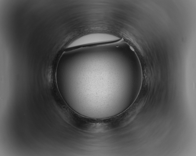 X0000093120212200710101046