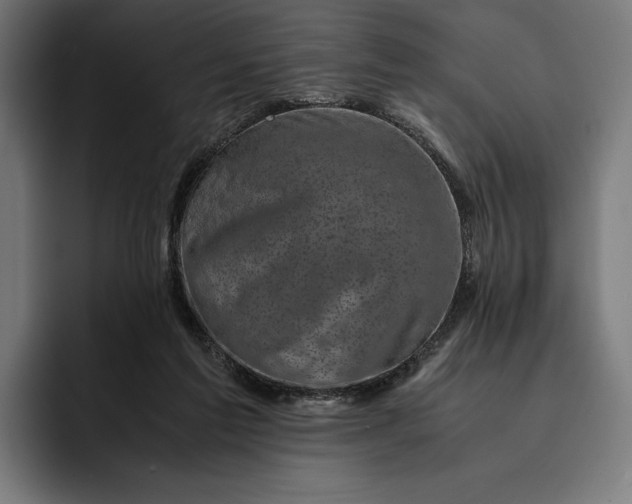 X0000093120213200710101046