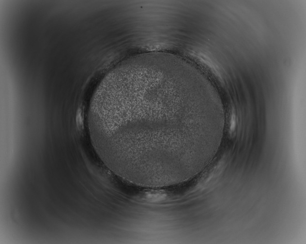 X0000093120214200710101046