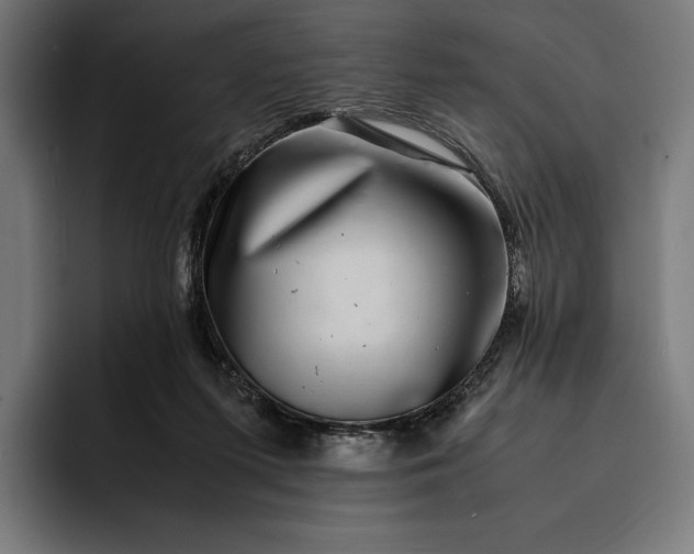 X0000093120215200710101046