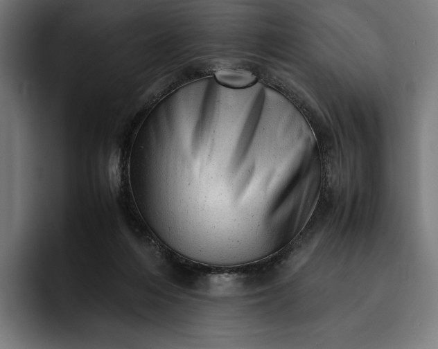 X0000093120216200710101046