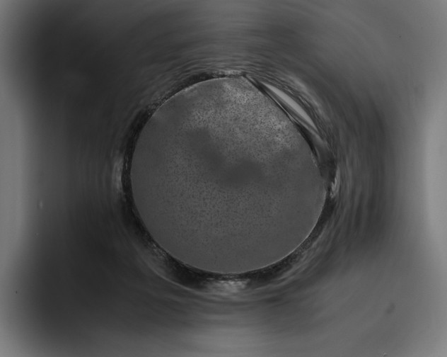 X0000093120217200710101046