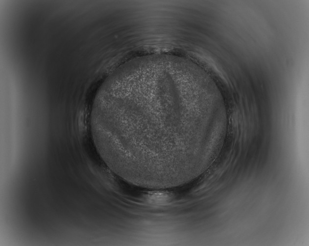 X0000093120218200710101046