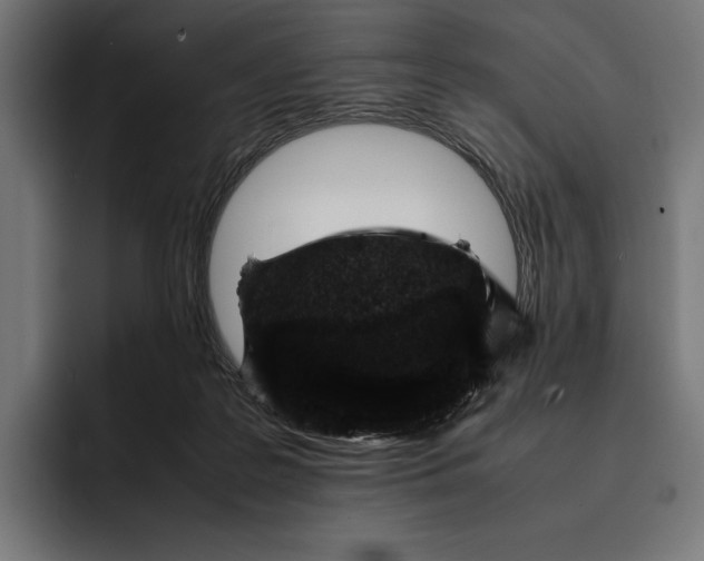 X0000093120219200710101046