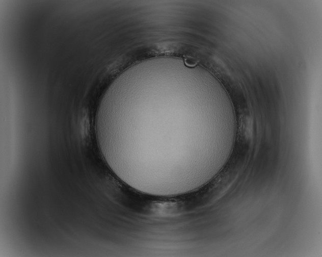 X0000093120220200710101046