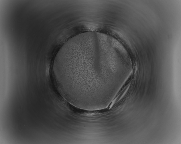 X0000093120221200710101046