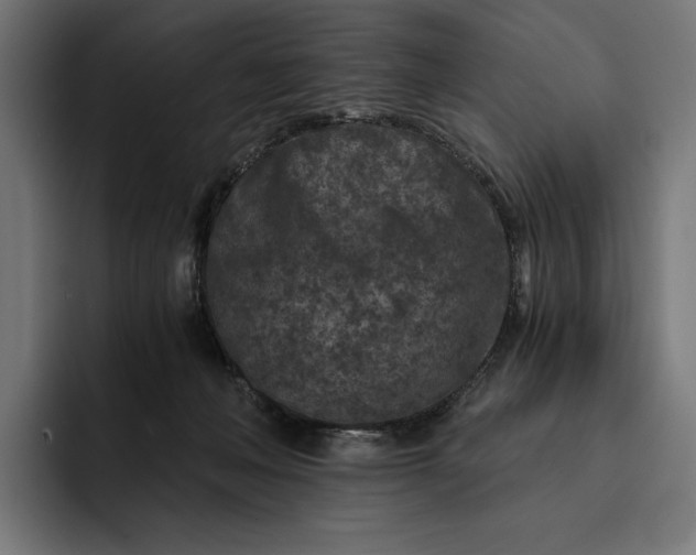 X0000093120222200710101046