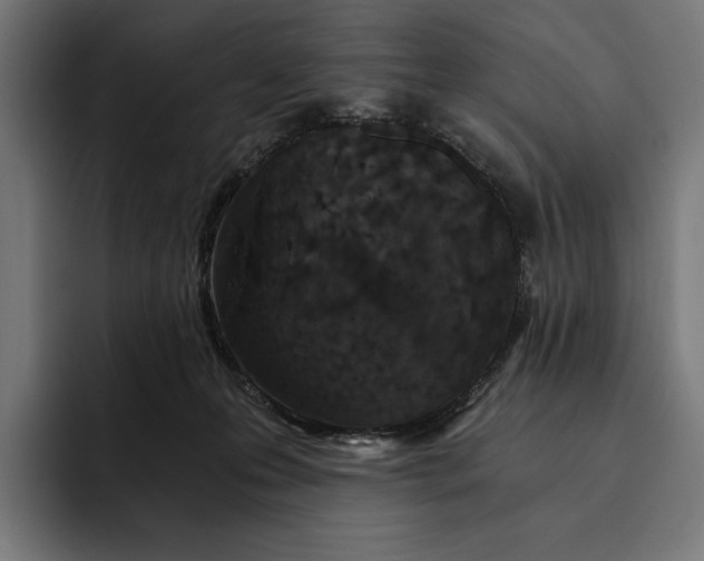 X0000093120223200710101046