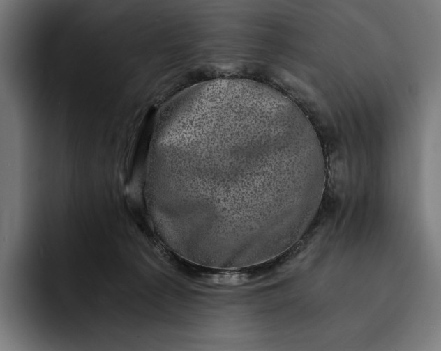 X0000093120225200710101046