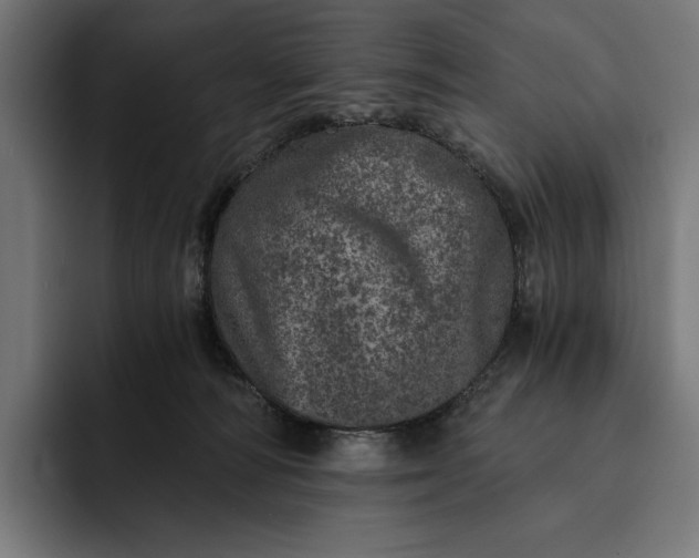 X0000093120226200710101046