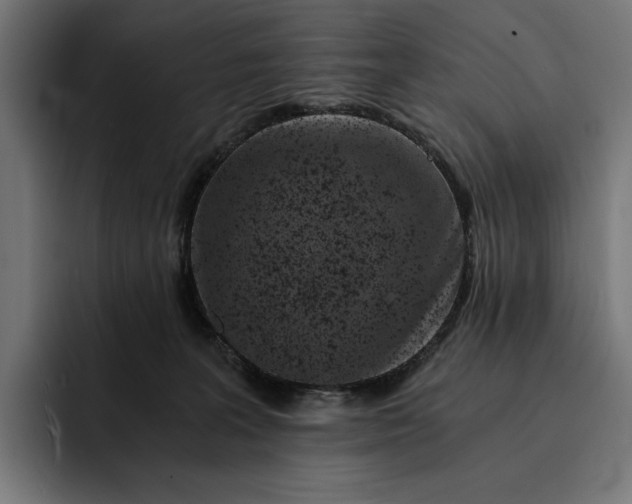 X0000093120227200710101046