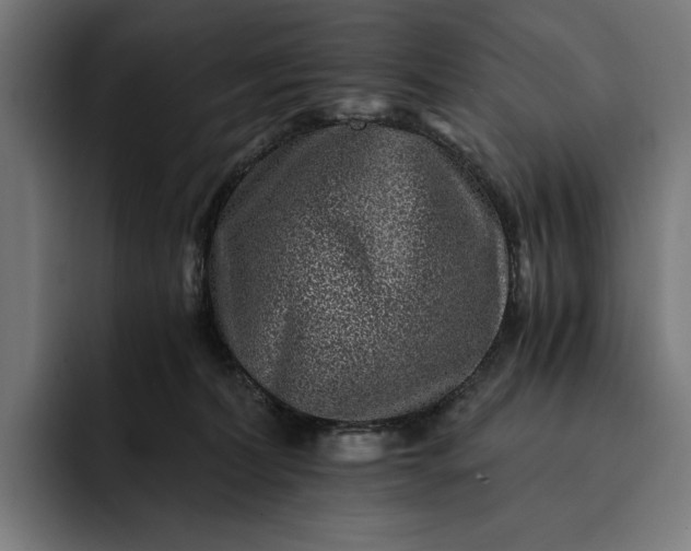 X0000093120228200710101046