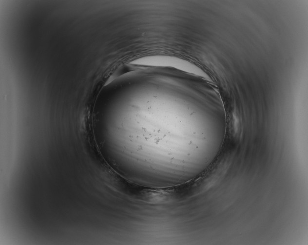 X0000093120229200710101046