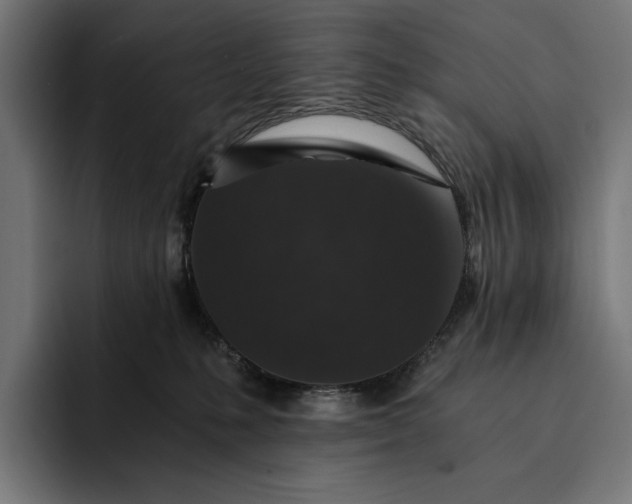 X0000093120231200710101046