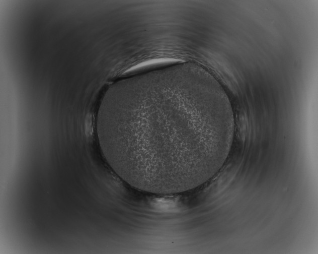 X0000093120232200710101046