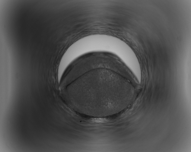 X0000093120233200710101046